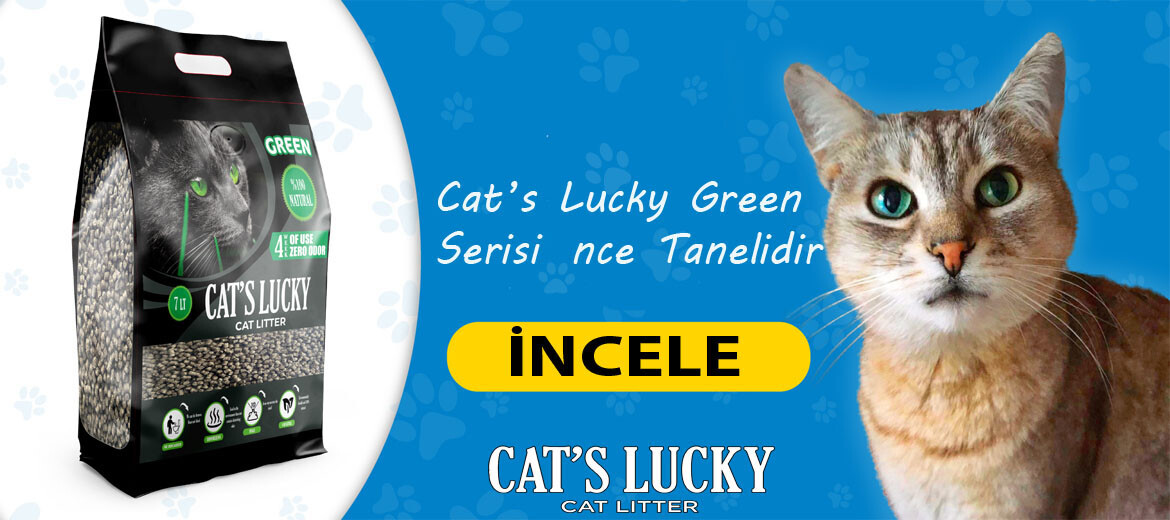 Cat's Lucky Green